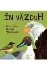 In vazduh