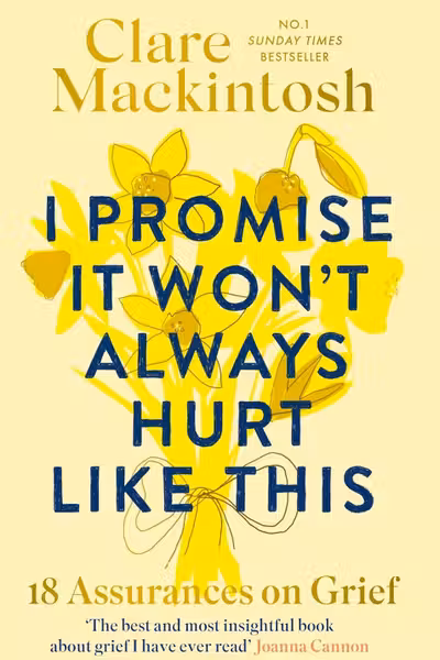 I Promise It Won't Always Hurt Like This