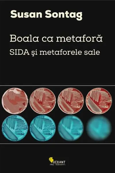 Boala ca metafora