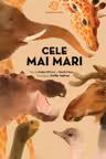 Superanimale - Cele mai mari