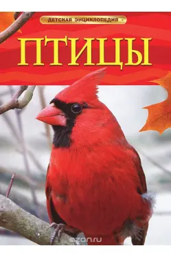 detskaya-ehnciklopediya-pticy