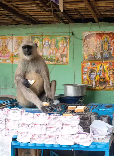 India Local