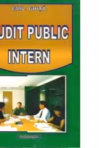 Audit public intern