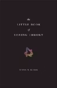 Little Book Of String Theory