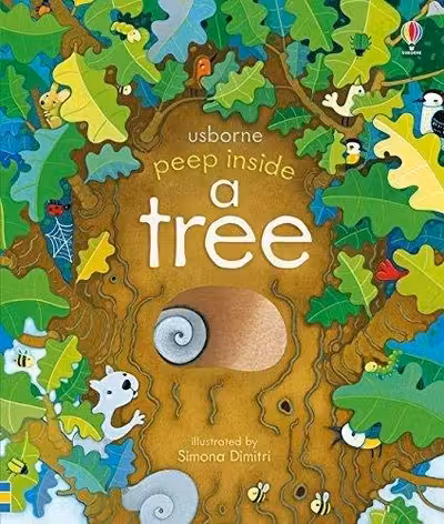 Peep Inside a Tree