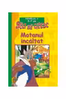 Motanul incaltat