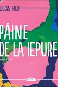 Paine de la iepure