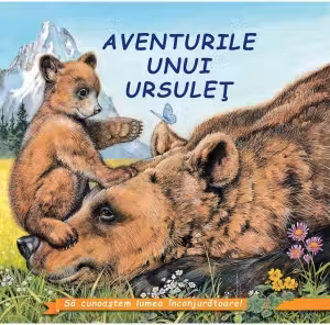 Aventurile unui ursulet
