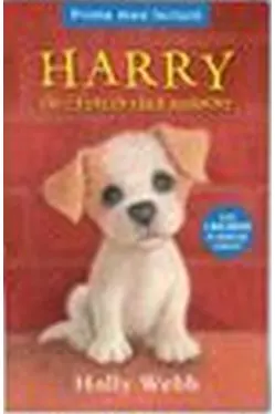 Prima mea lectura. Harry , un catel fara adapost
