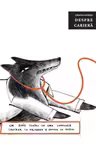 Cateva cuvinte despre Cariera