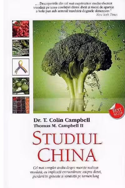 Studiul China
