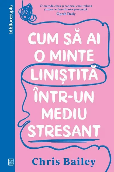 Cum sa ai o minte linistita intr-un mediu stresant