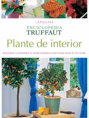 Plante de interior