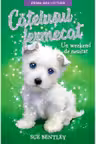 Prima mea lectura. CATELUSUL FERMECAT. Un weekend de neuitat.