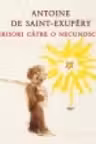 Scrisori catre o necunoscuta