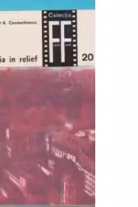 Fotografia in relief
