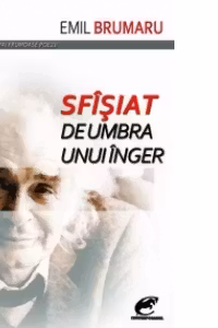 Sfîsiat de umbra unui inger