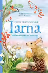 TOTUL DESPRE NATURA. IARNA. Minienciclopedie cu activitati. Gabby Dawnay