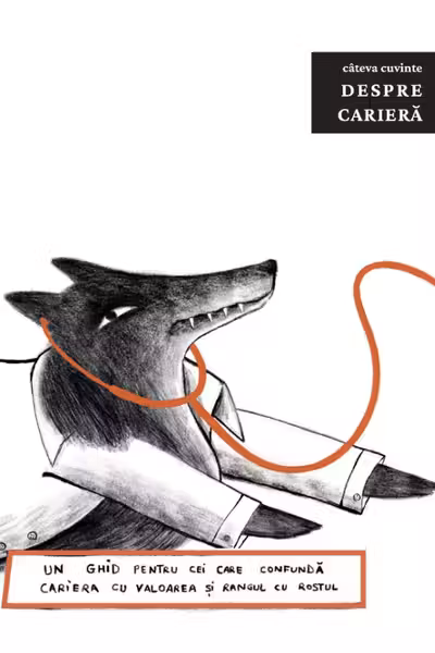 Cateva cuvinte despre Cariera