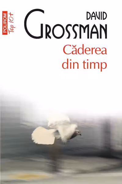 Caderea din timp - O poveste pe mai multe voci
