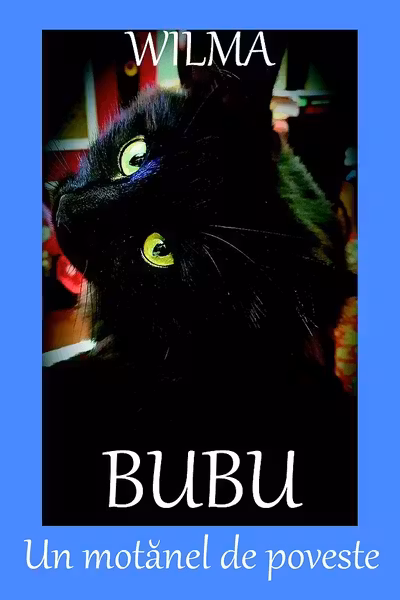 Bubu, un motănel de poveste