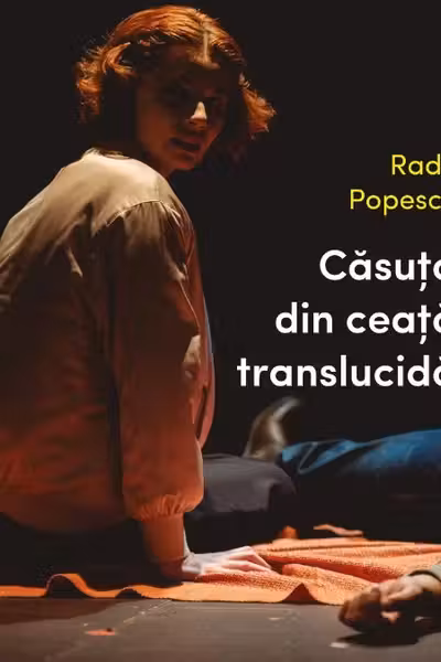 Casuta din ceata translucida