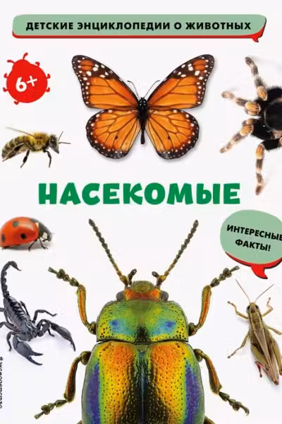 Насекомые