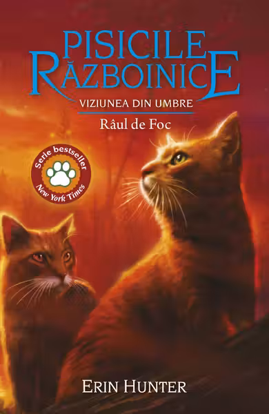Viziunea din umbre. Raul de Foc