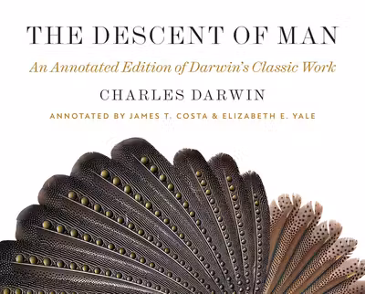 Descent of Man