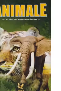 Animale. Atlas ilustrat bilingv roman-englez