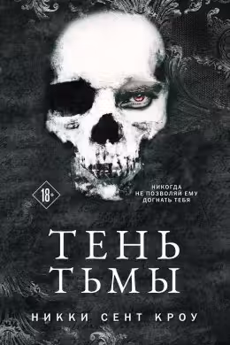 Тень Тьмы (Порочные Потерянные мальчишки 2)