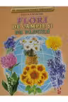 Flori de campie si de padure. Fise