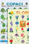 Plansa. Copaci. Flori.