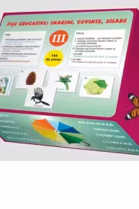 Fi​se educative: imagini, cuvinte, silabe (III)