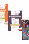 Pachet Bacalaureat 2026. Limba si literatura romana, Matematica M_Mate-Info si Chimie organica pentru liceu. Sinteze. Probleme. Teste - Mihaela Dobos, Gheorghe Iurea, Elena Alexandrescu