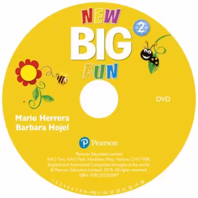 Big Fun Refresh Level 2 DVD
