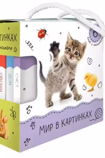 Шоубокс "Мир в картинках"