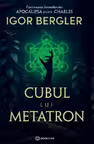 Cubul lui Metatron