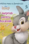 DISNEY IEPURASI. CARTICICA MEA CU FERESTRUICI. O SURPRIZA PENTRU BOCANILA!