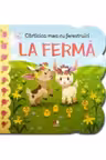 CARTICICA MEA CU FERESTRUICI. LA FERMA