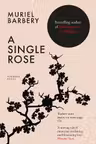 Single Rose