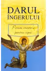 Darul Îngerului 2008