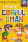 Corpul uman - Simturile