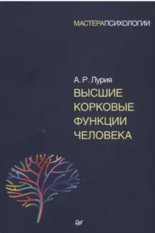 Высшие корковые функции человека