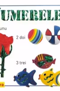 Numerele. Teora