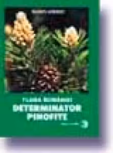 Flora Romaniei. Determinator de pinofite