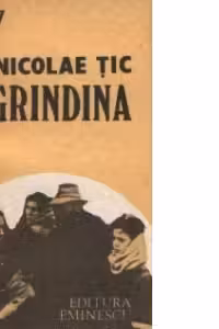 Grindina - Roman