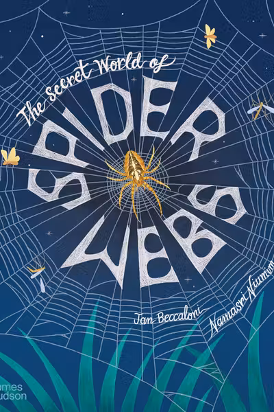 The Secret World of Spider Webs