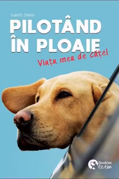 Pilotand in ploaie. Viata mea de catel