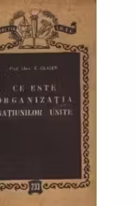 Ce este Organizatia Natiunilor Unite